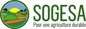 Sogesa